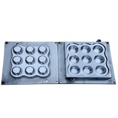Compression Dish Ware Mould