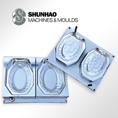 Melamine Tableware Mould